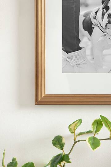 Kate and Laurel Bordeaux Gallery Wall Frame & Shelf Set